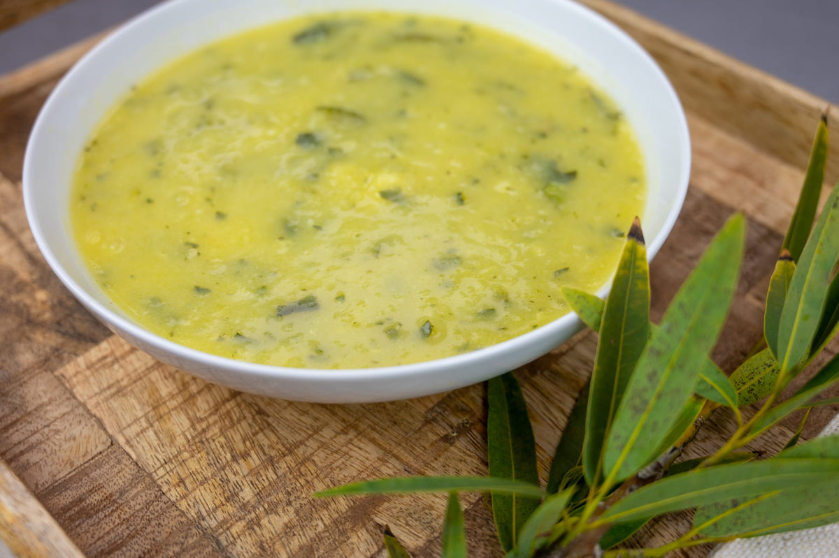 Sole Soups Zucchini side view