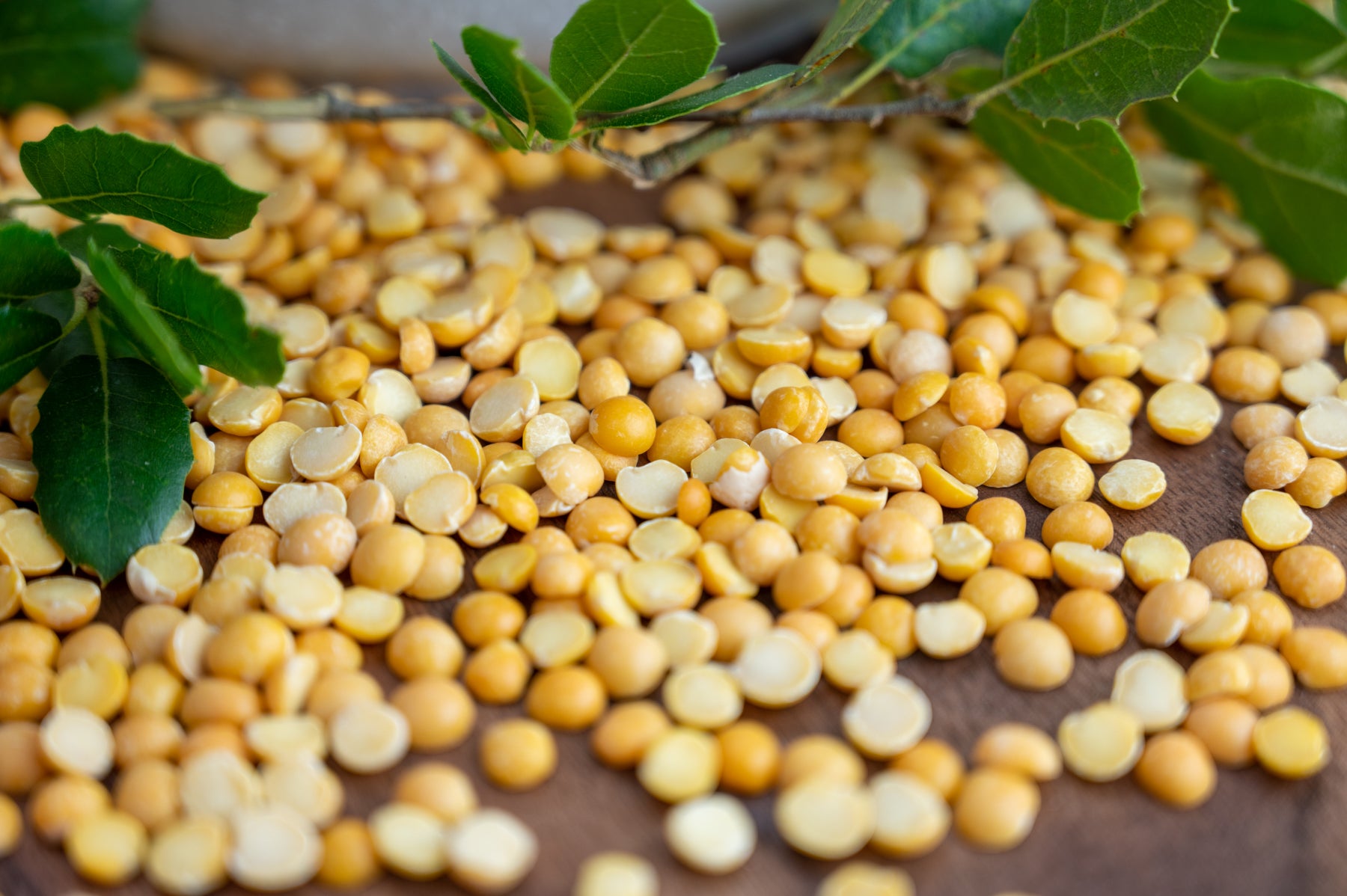 Sole Soups Yellow Split Peas